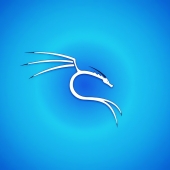 Kali Linux