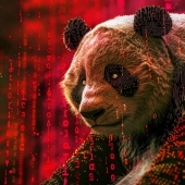 Panda China Hacker