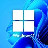 Windows 11